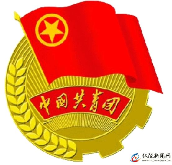 共青团仪陇县委