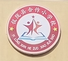 仪陇县合作小学校