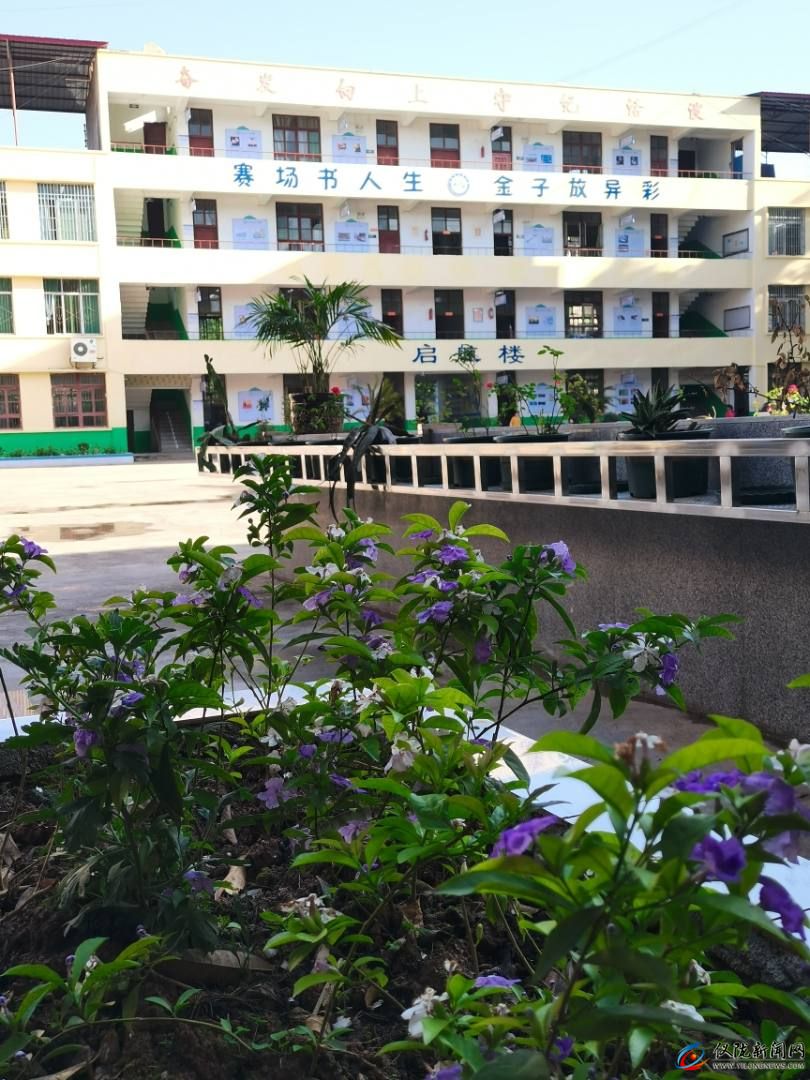仪陇县赛金镇小学校