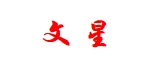 仪陇县文星镇人民政府
